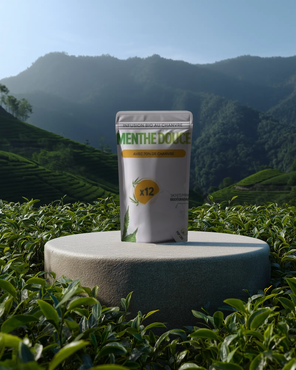 Tisane CBD bio bonne nuit - Ozealab